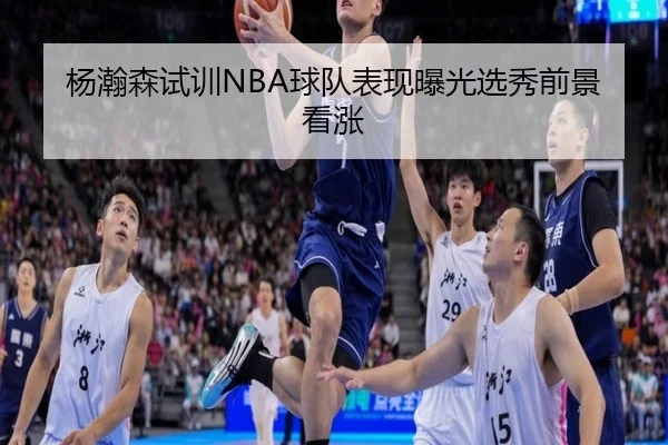 杨瀚森试训NBA球队表现曝光选秀前景看涨